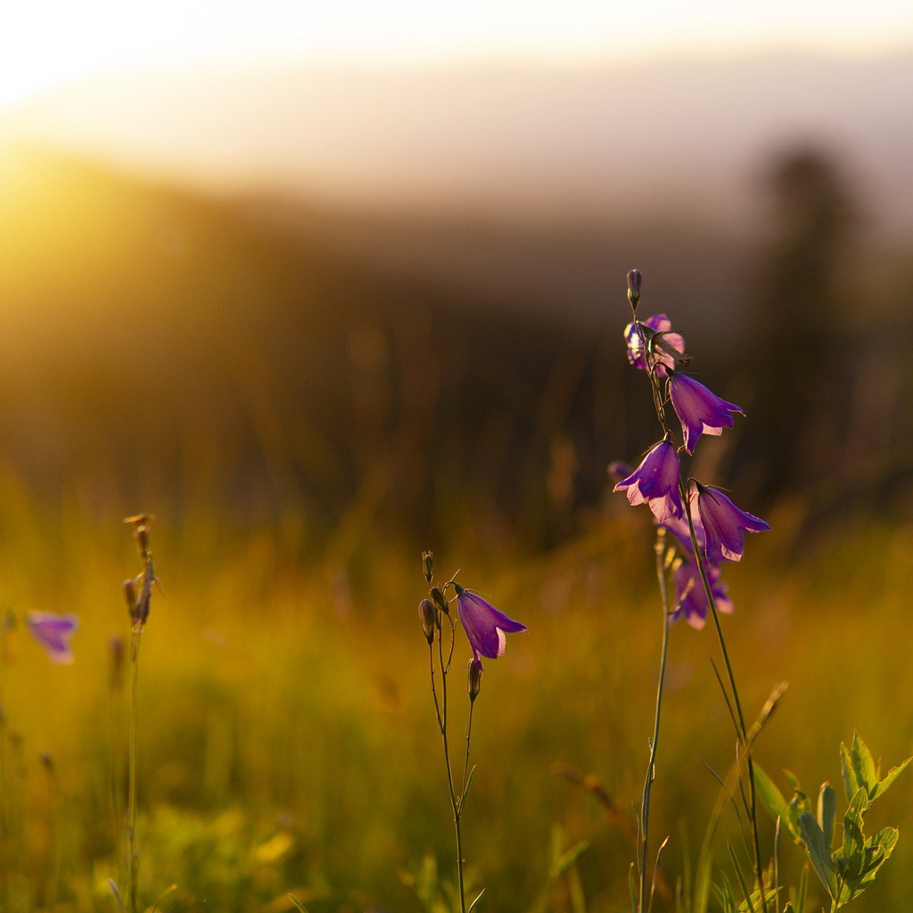With Nature