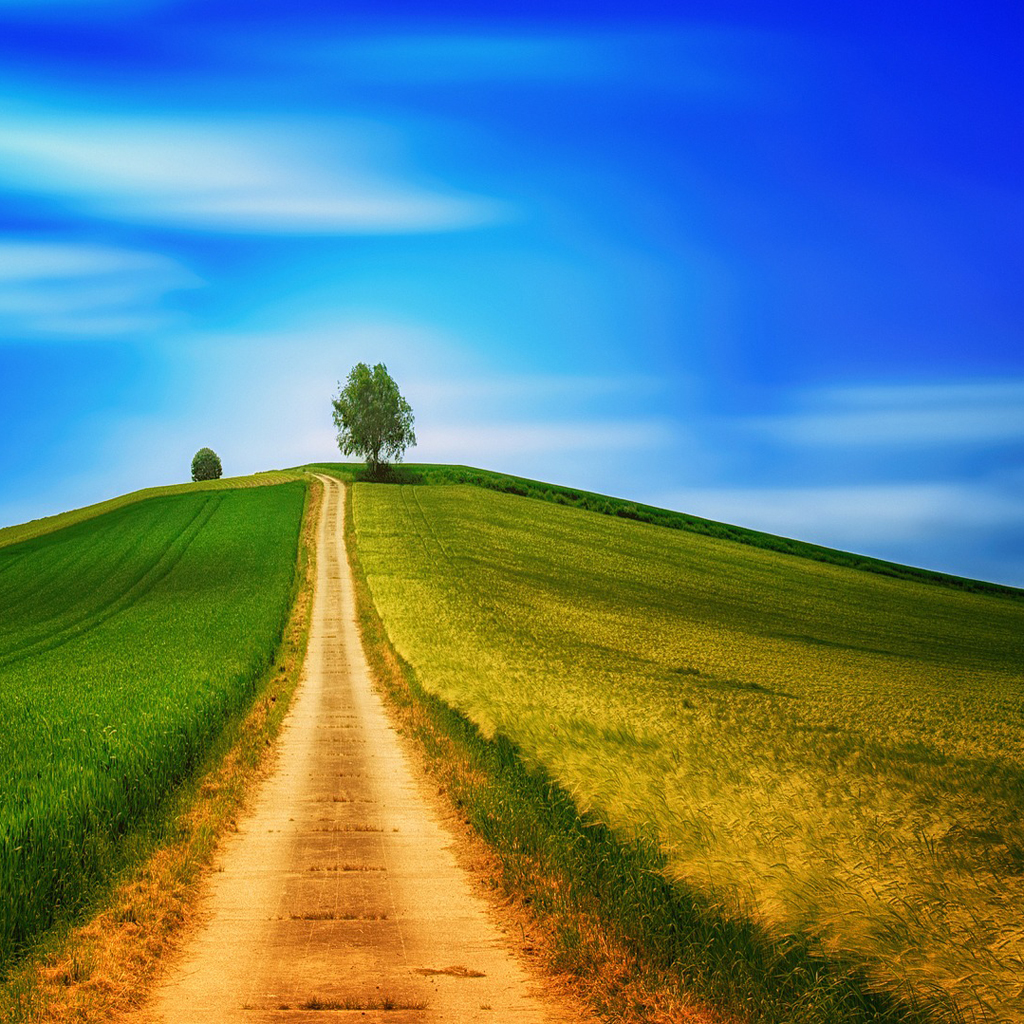 Your Path